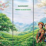 Hội chợ Mùa Xuân 2026